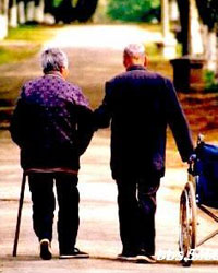 养老策：老吾老以及人之老