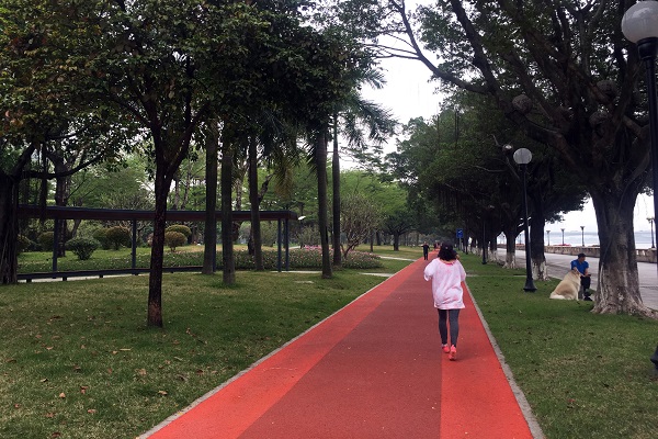 广东绿道：一条高质量发展之路