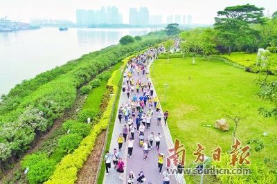 广东三场绿道徒步活动同日举行，其中佛山50公里徒步约34.5万人参与