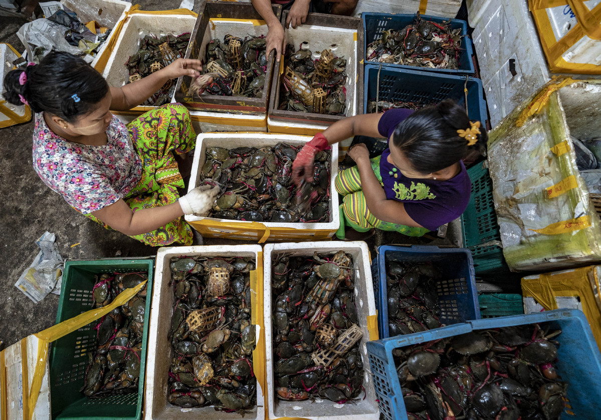 Largest China-Myanmar land port reports trade rise in 2019