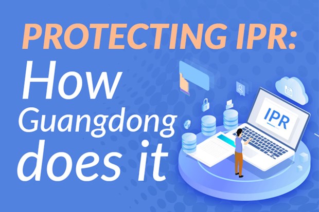 Infographics | Protecting intellectual property rights: How Guangdong does it